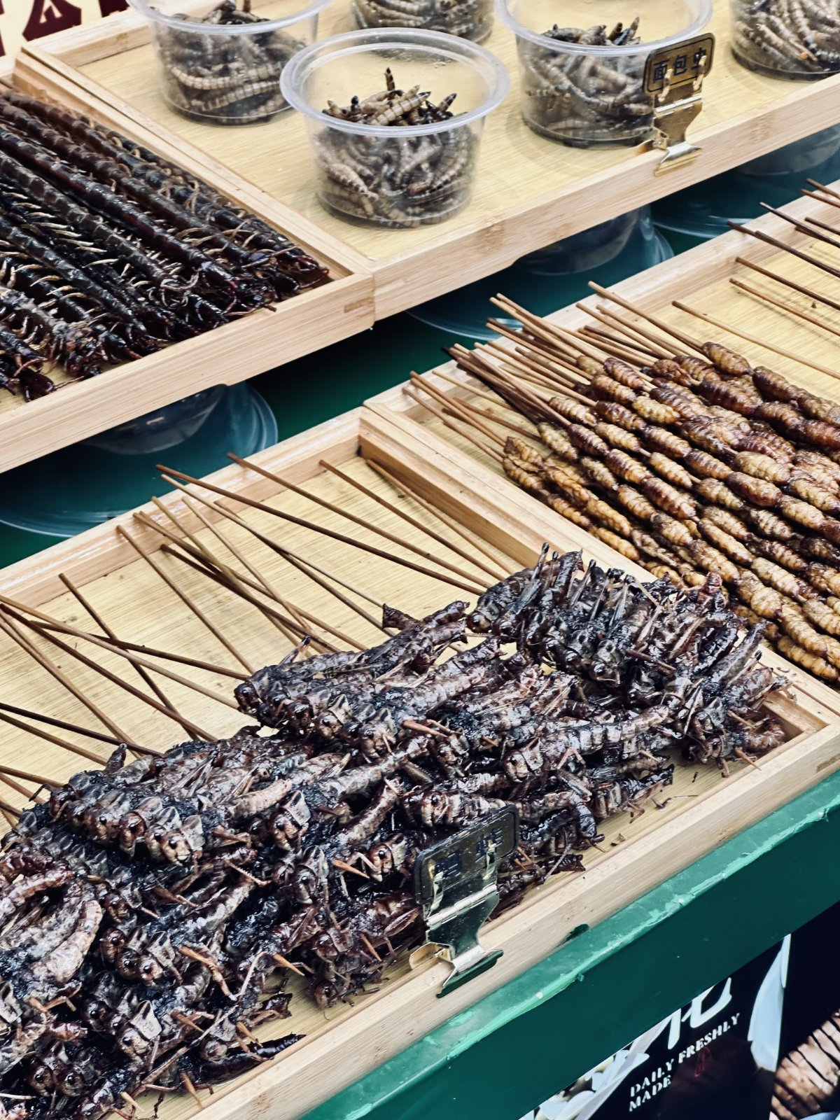 Brochettes d'insectes