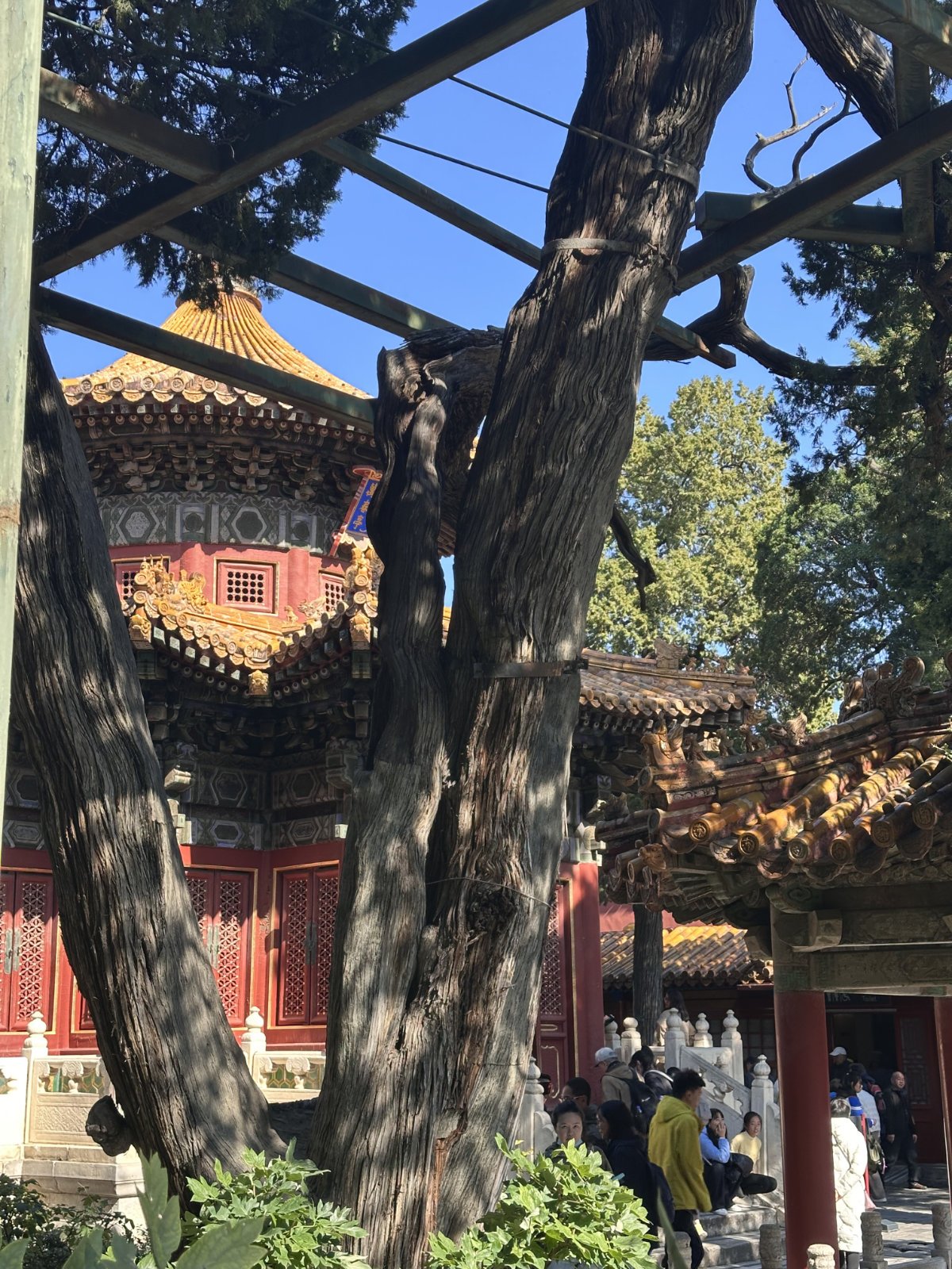 Architecture traditionnelle, Cit&eacute; interdite, Pavillon chinois, P&eacute;kin