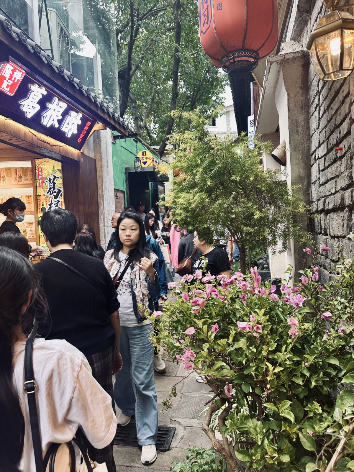 Chongqing, Chongqing Mountain City Alley, Lanternes rouges, Ruelle ancienne, Ruelle v&eacute;g&eacute;talis&eacute;e, Sc&egrave;ne de rue
