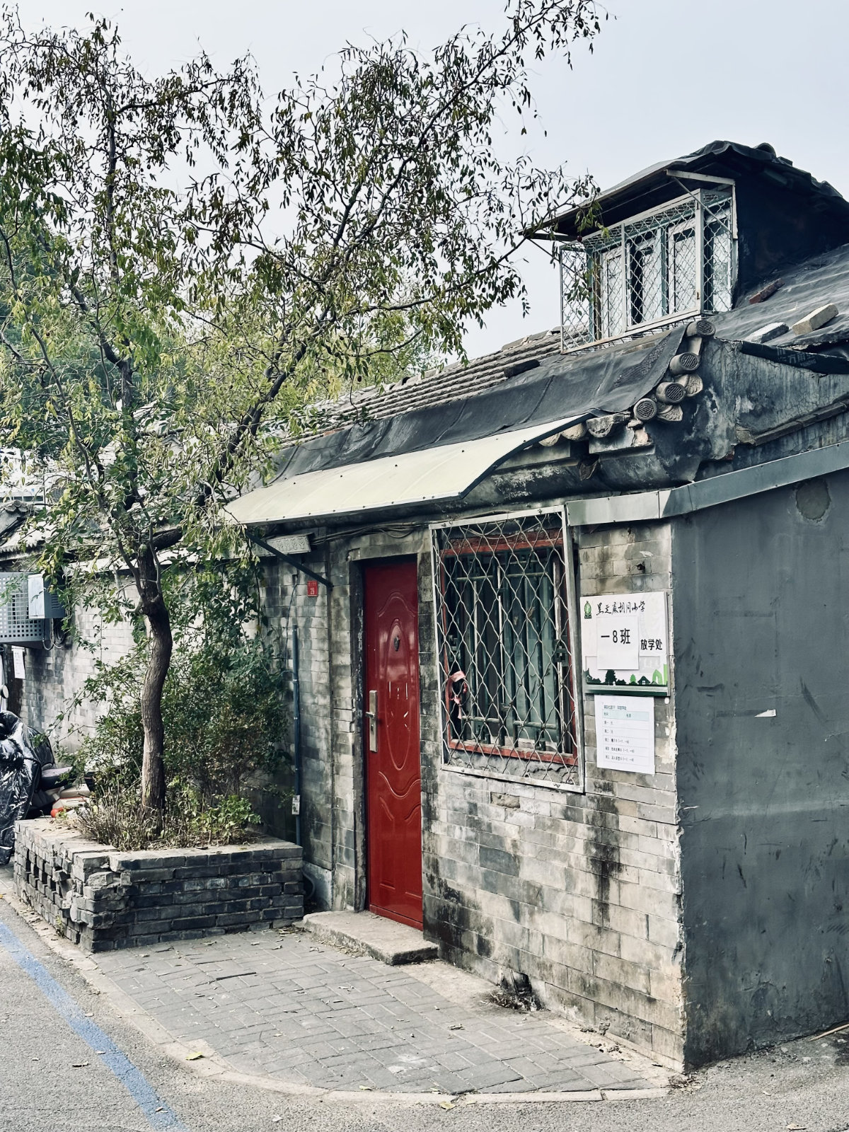 Petite maison grise au coin du hutong, sous un arbre pench&eacute;