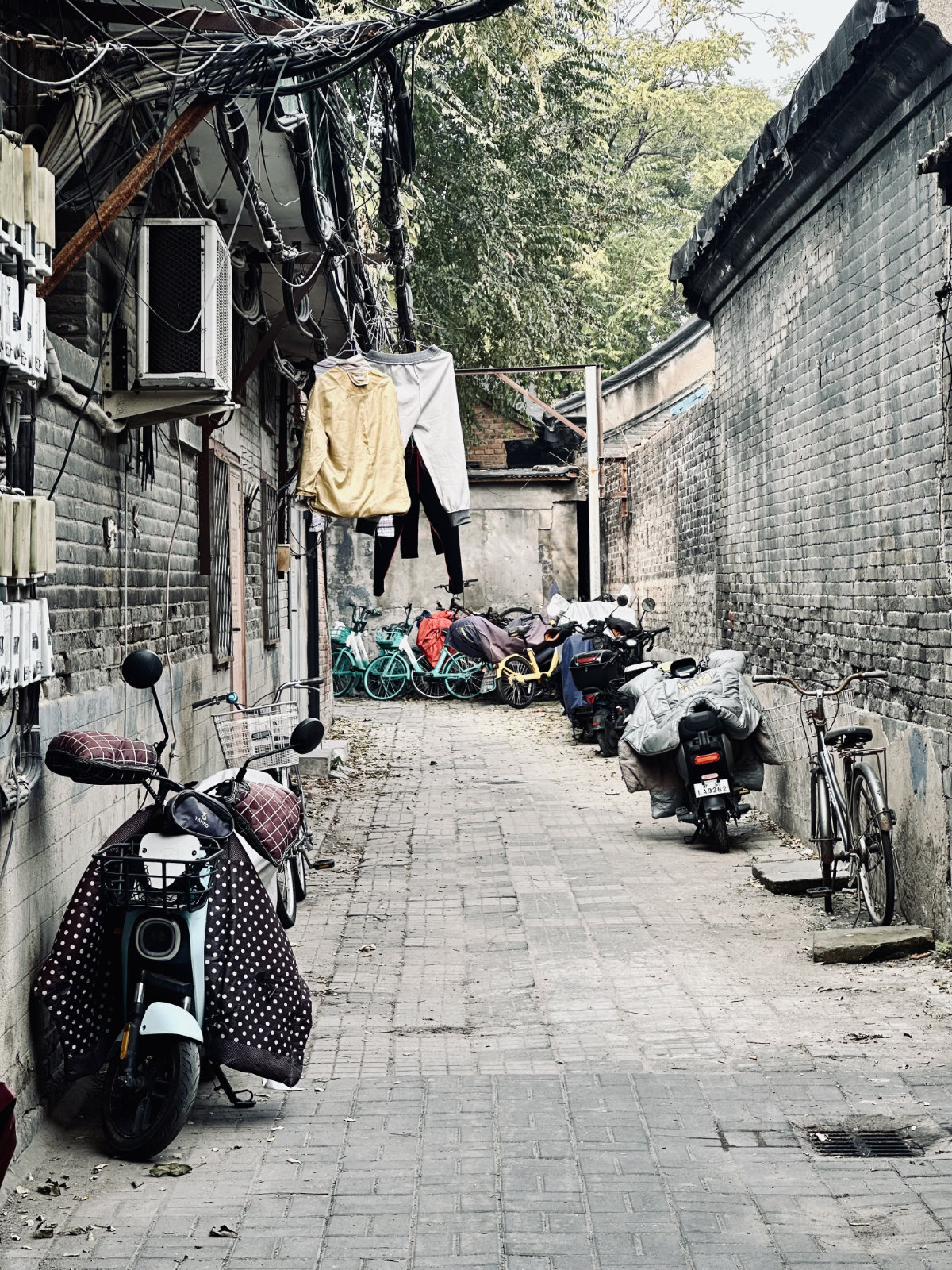 La ruelle des v&eacute;los et des fils : entre ciel bas et murmures de vie