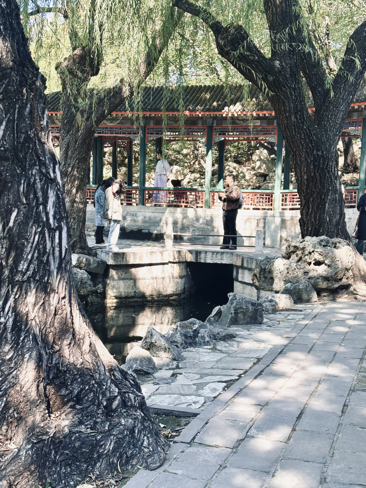 Palais d’Été de Pékin, Parc et jardin, Pékin